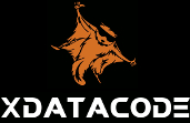 Logo Xdatacode